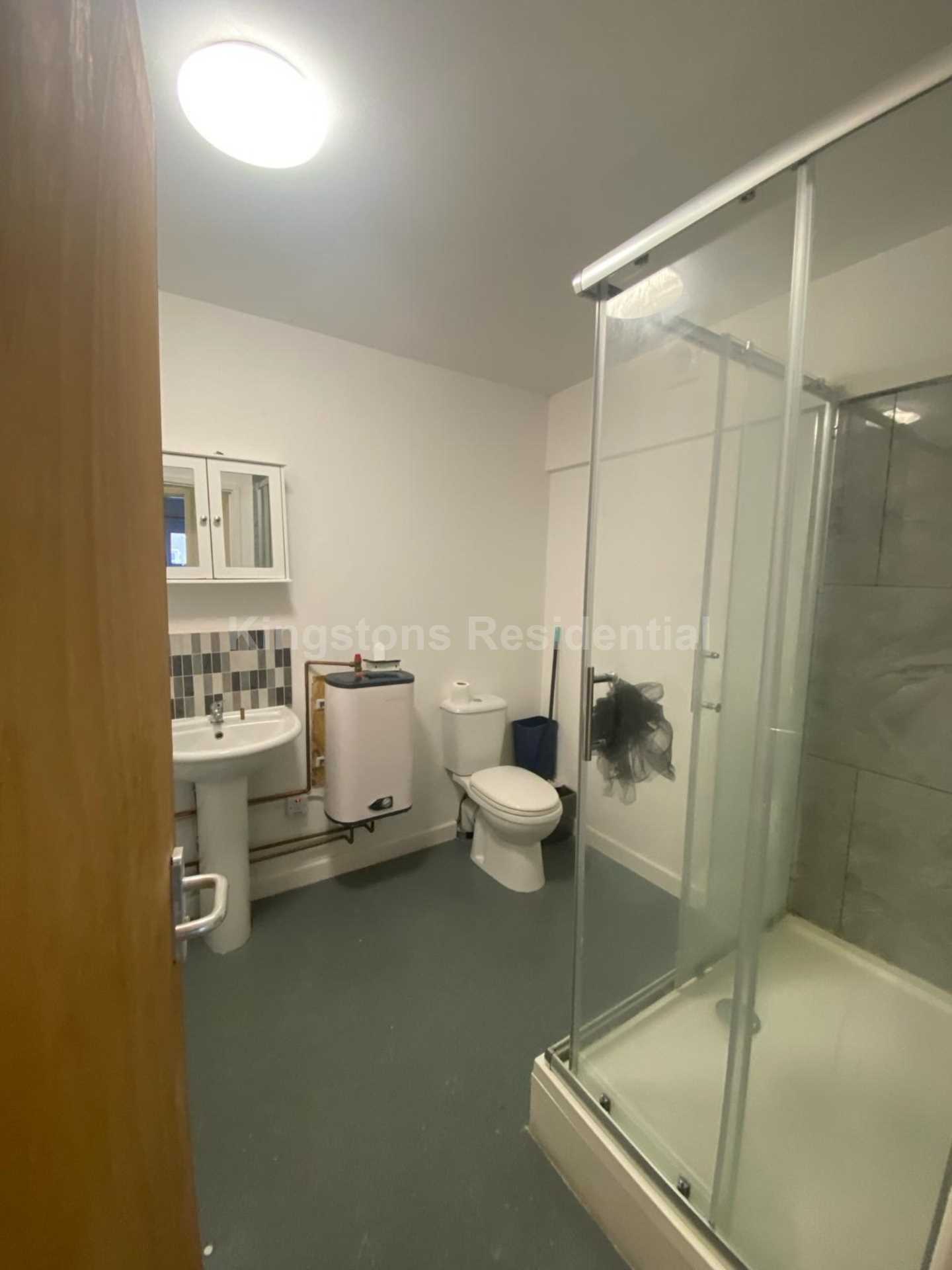 Miskin Street, Cathays, CF24 4AP, Image 3