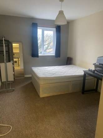 Miskin Street, Cathays, CF24 4AP, Image 5
