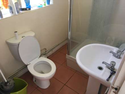 Bangor Street, Roath, Cardiff, CF24 3LQ, Image 4
