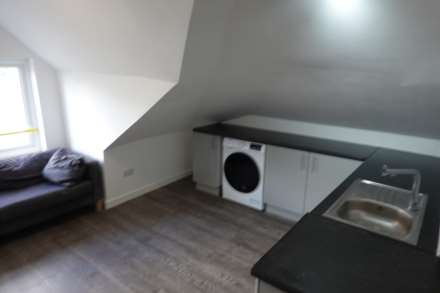 Miskin Street, Cathays, CF24 4AP, Image 3