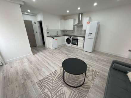 Albany Road, Roath, Cardiff, CF24 3NW, Image 4