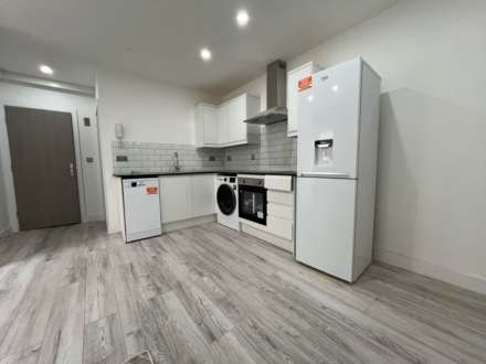 Albany Road, Roath, Cardiff, CF24 3NW, Image 8