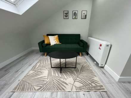 Albany Road, Roath, Cardiff, CF24 3NW, Image 9