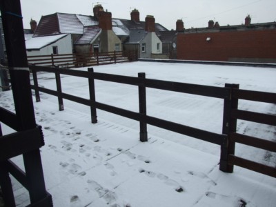 City Road, Roath, CF24 3DQ, Image 2
