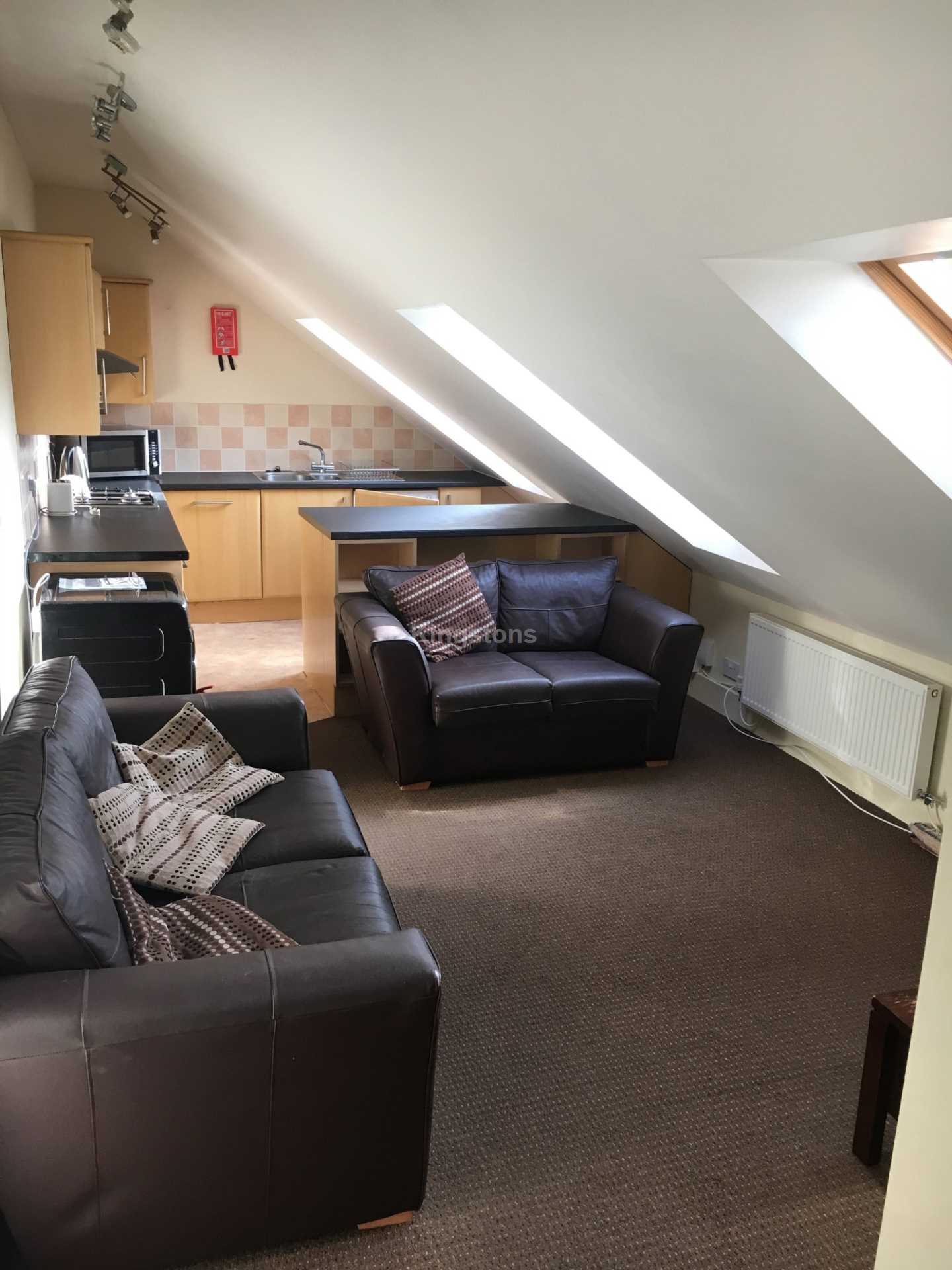 Princes Street, Roath, Image 2