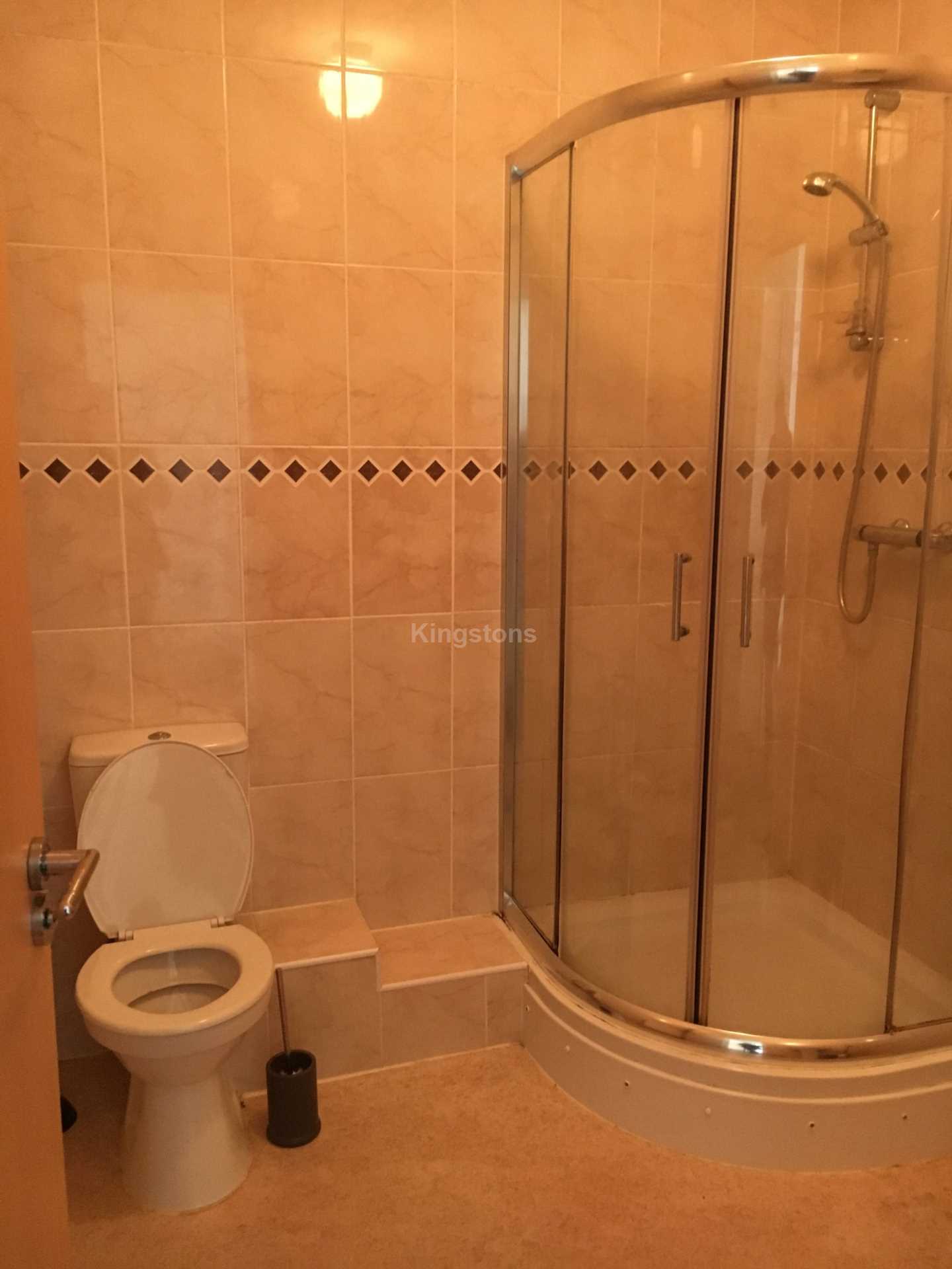 Princes Street, Roath, Image 8