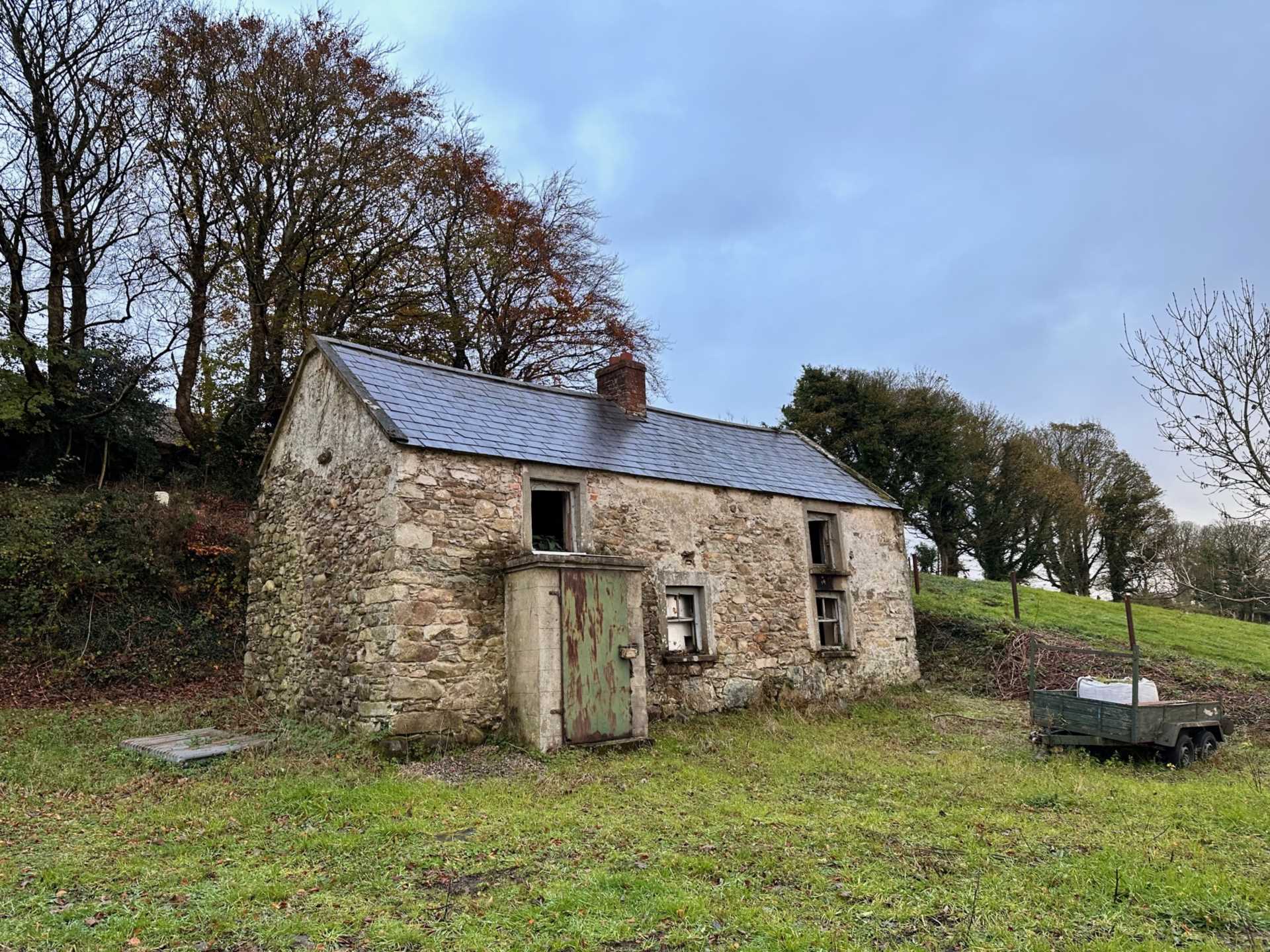 Feede Mountpleasant: Site with derelict dwelling for sale (STP), Ravensdale A91 FRF8