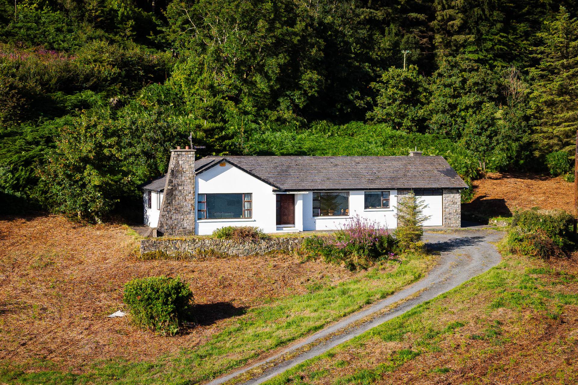 Whitehaven, Ballyoonan, Omeath, A91 CY56