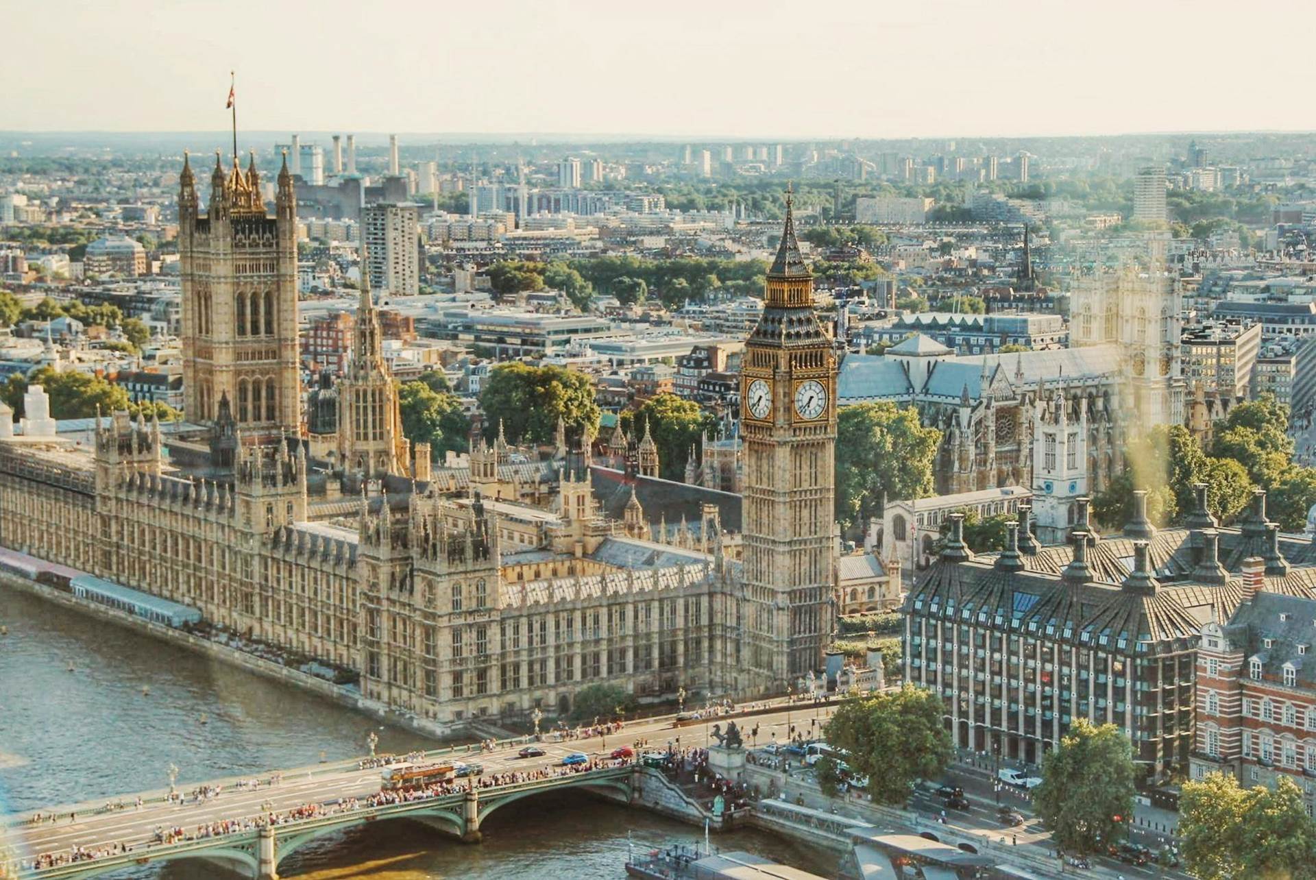 Renters Reform Bill Summary in the Governments Own Words- Renting With Pets