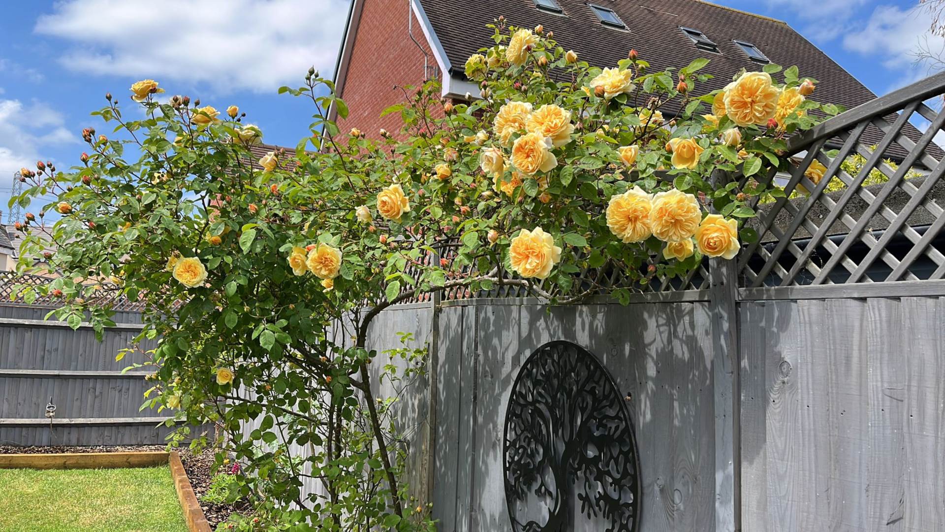 Sierra Drive, Aylesbury, Image 28