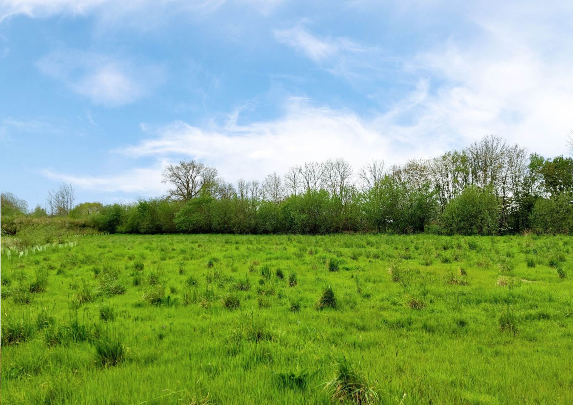 Sierra Drive, Aylesbury, Image 30