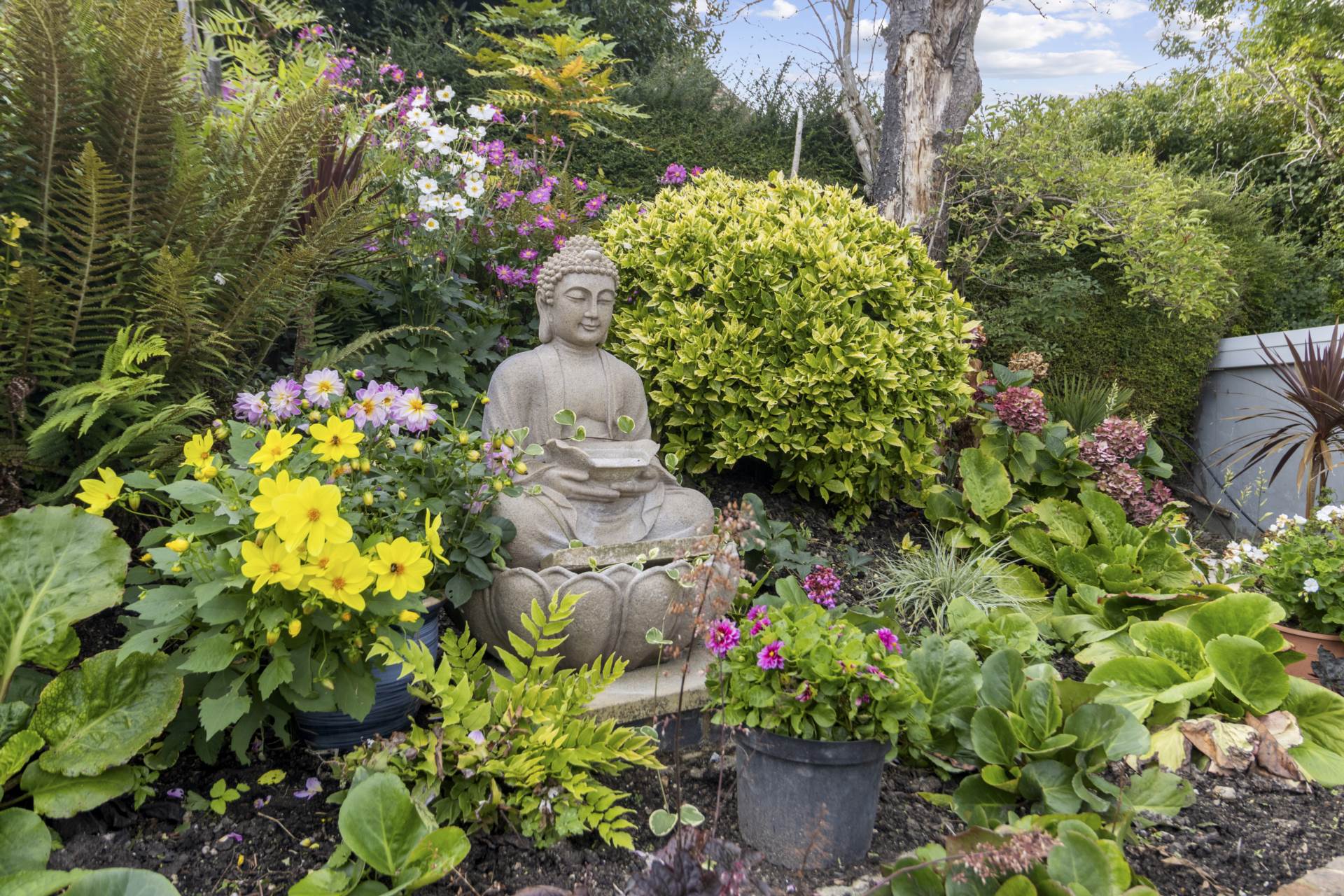 Wedderburn Road, Eastbourne, BN20 9EB, Image 41