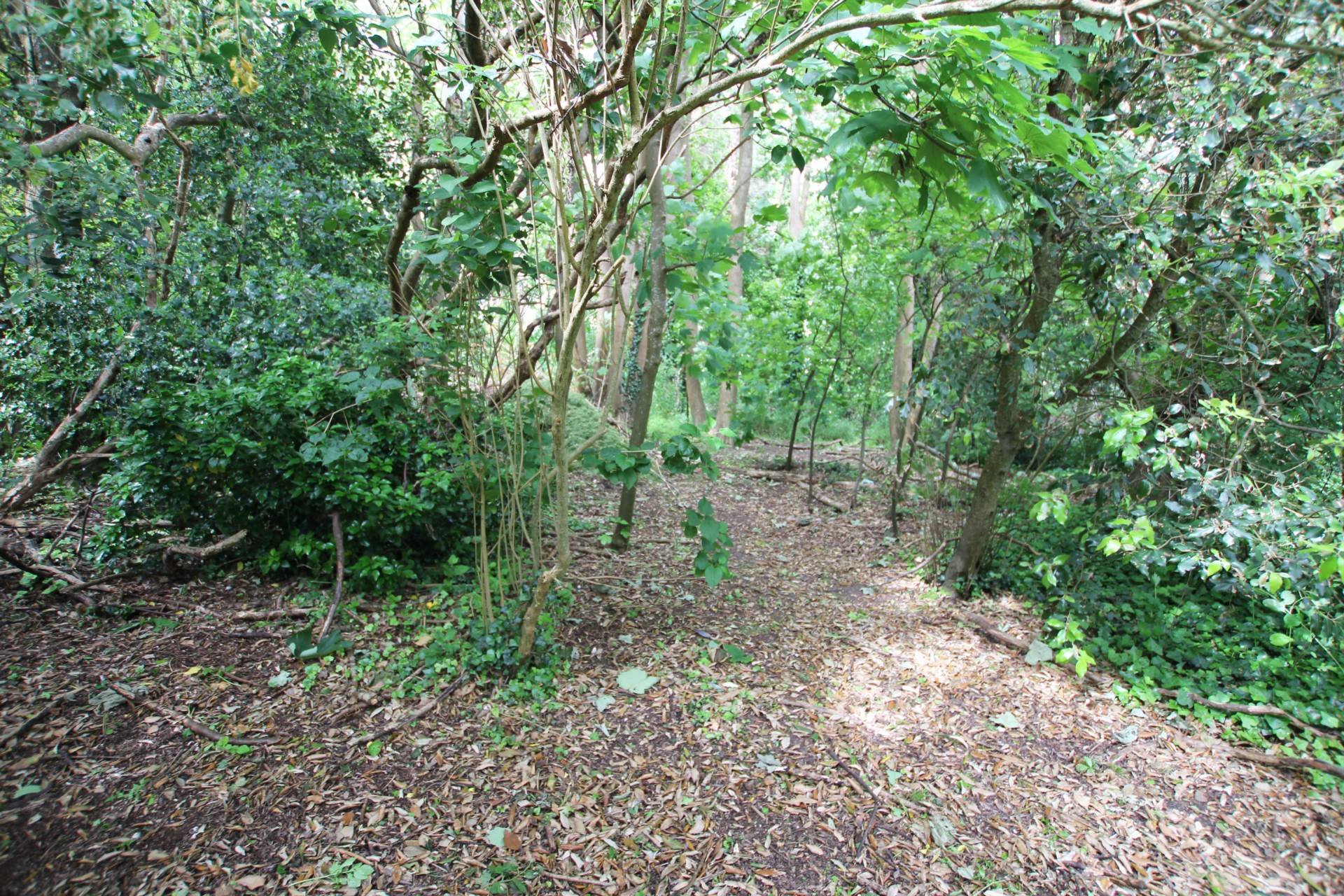 Parkway, Eastbourne, BN20 9DX, Image 13