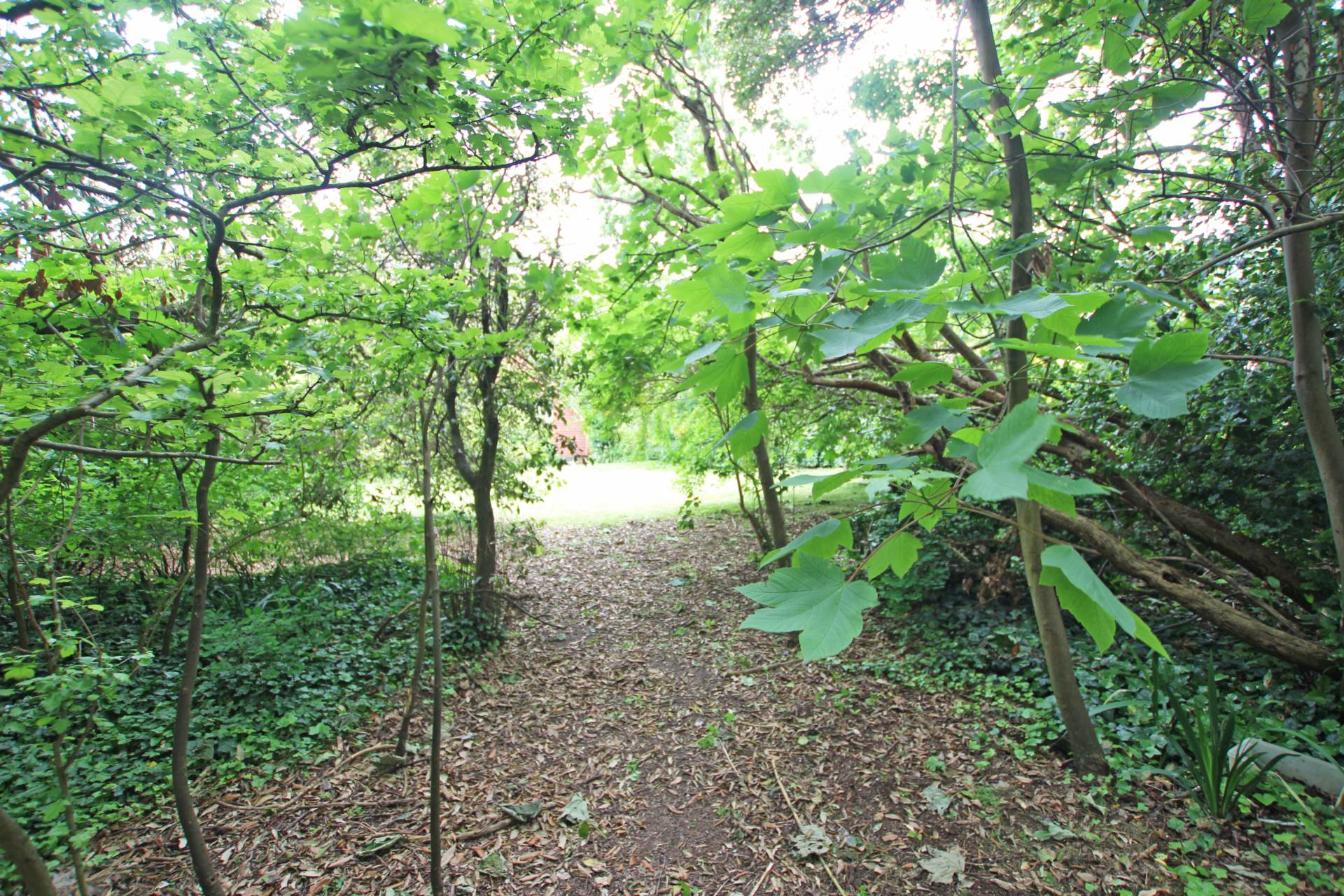 Parkway, Eastbourne, BN20 9DX, Image 9
