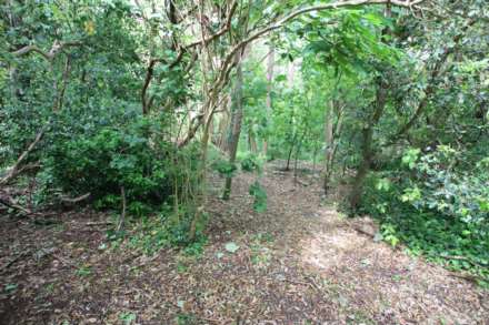Parkway, Eastbourne, BN20 9DX, Image 13