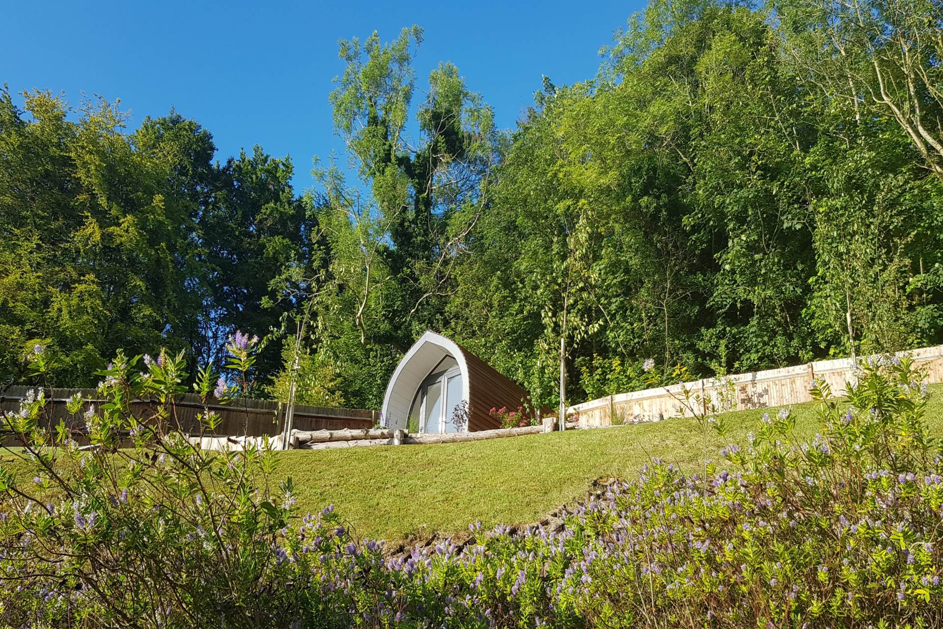 The Combe, Eastbourne, BN20 9DB, Image 39