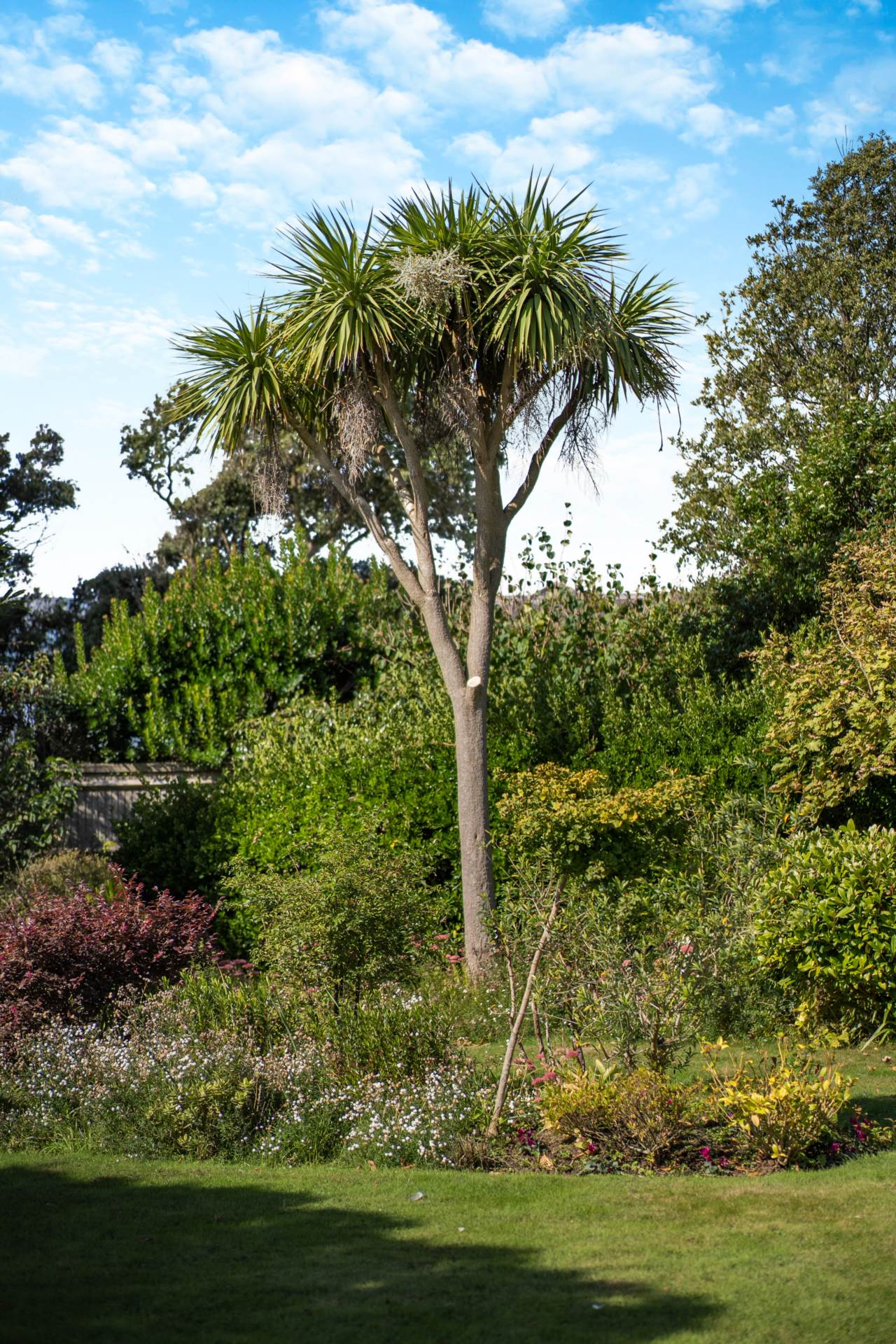 Seafield Road, Angmering, BN16 1NA, Image 10