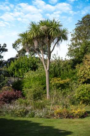 Seafield Road, Angmering, BN16 1NA, Image 10