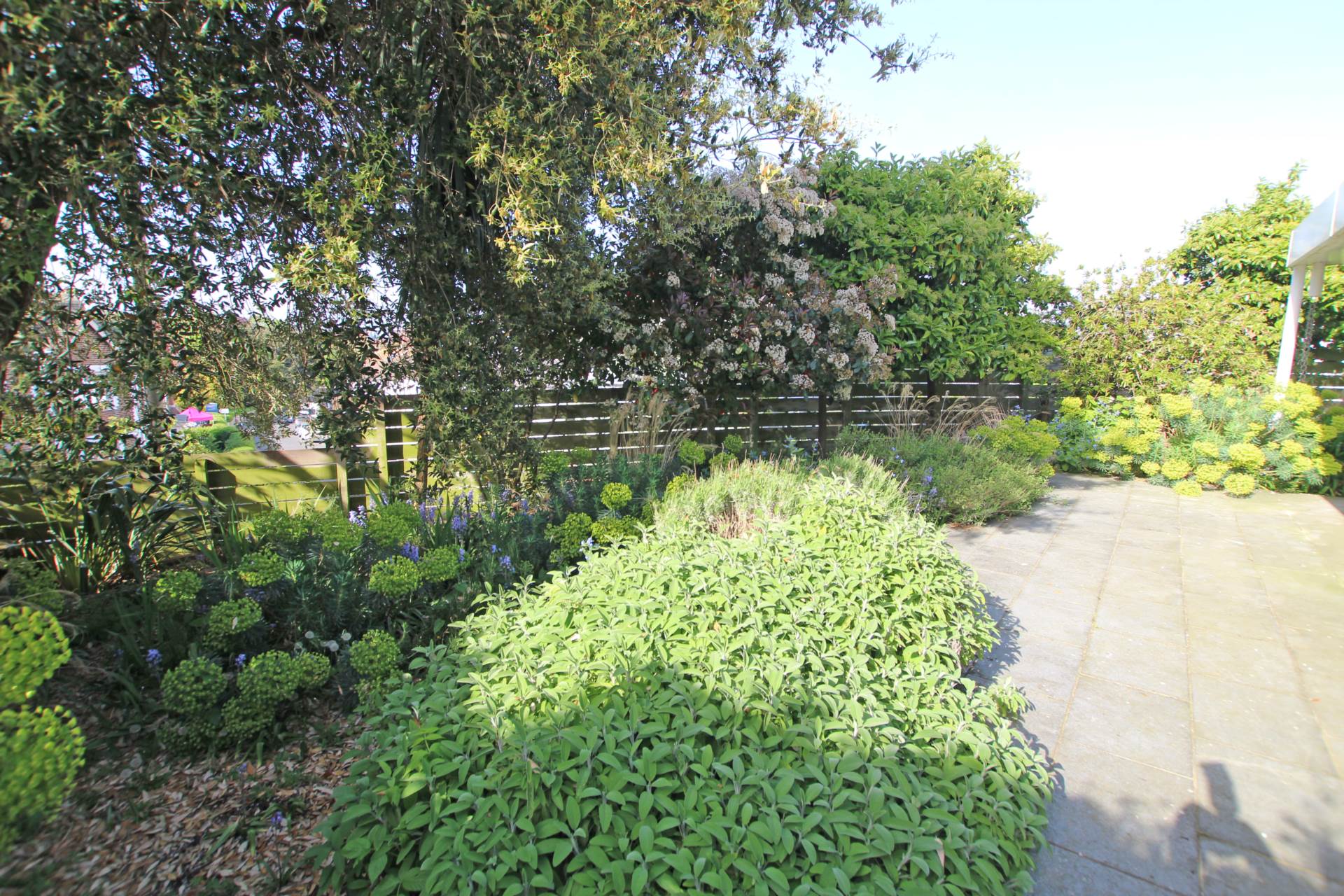 Holywell Close, Eastbourne, BN20 7RX, Image 23