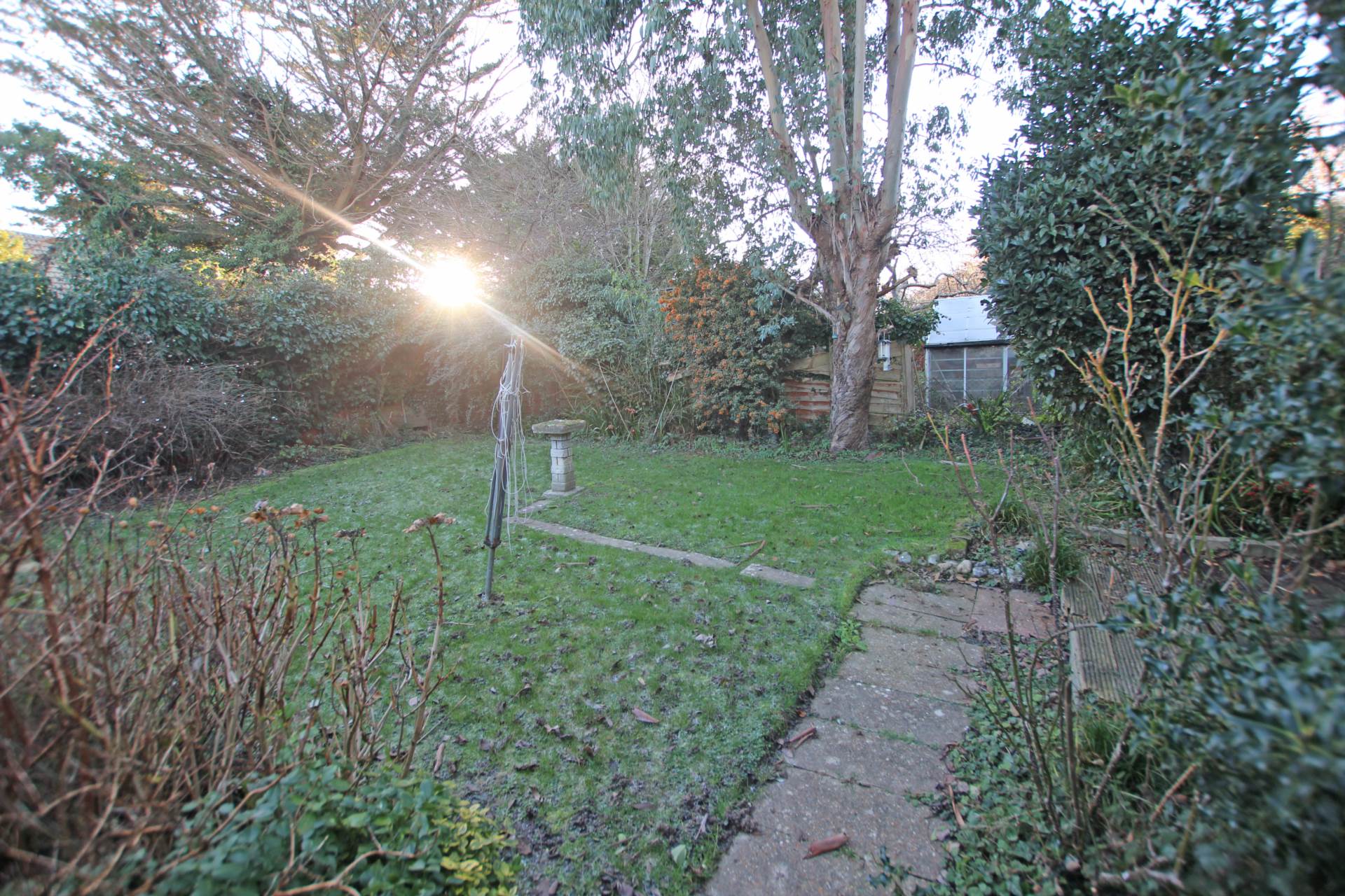 Hazelwood Avenue, Eastbourne, BN22 0SG, Image 9