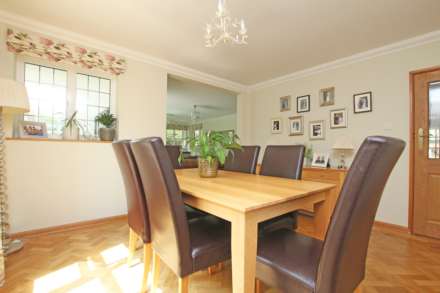 Walnut Tree Walk, Eastbourne, BN20 9BP, Image 17