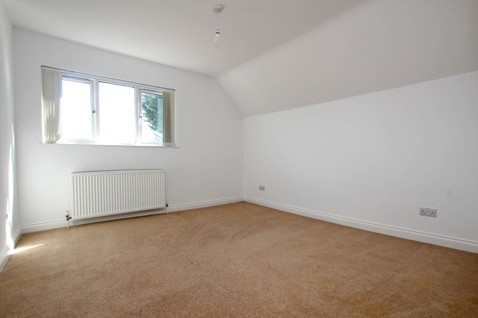 Eastbourne Road, Willingdon, BN20 9NG, Image 11