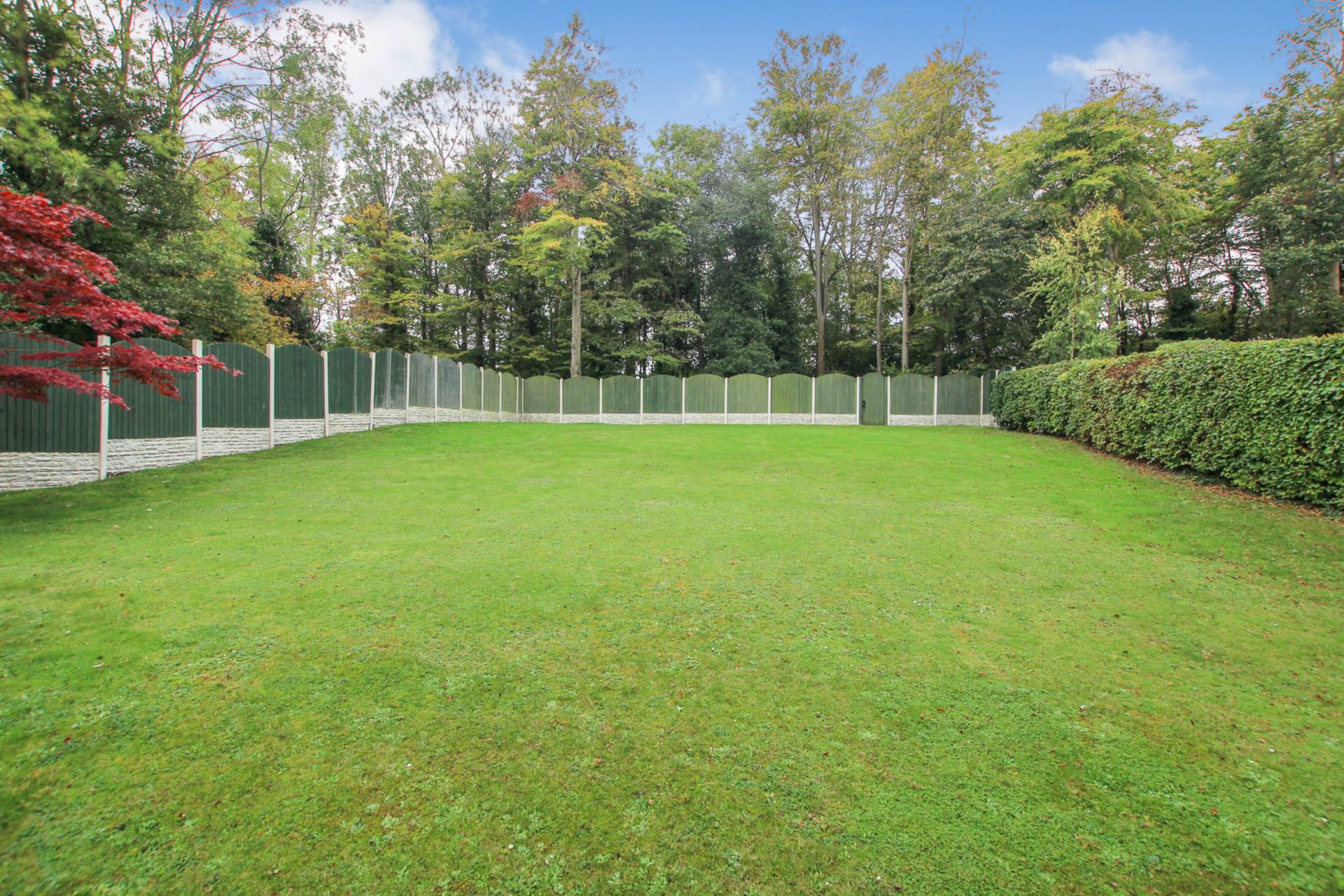 Buckhurst Close, Eastbourne, BN20 9EF, Image 4
