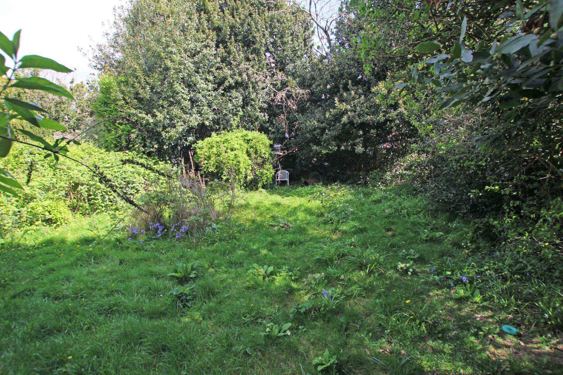 Arlington Road, Eastbourne, BN21 1DL, Image 5