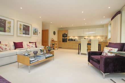 Darley Road, Eastbourne, BN20 7GB, Image 16