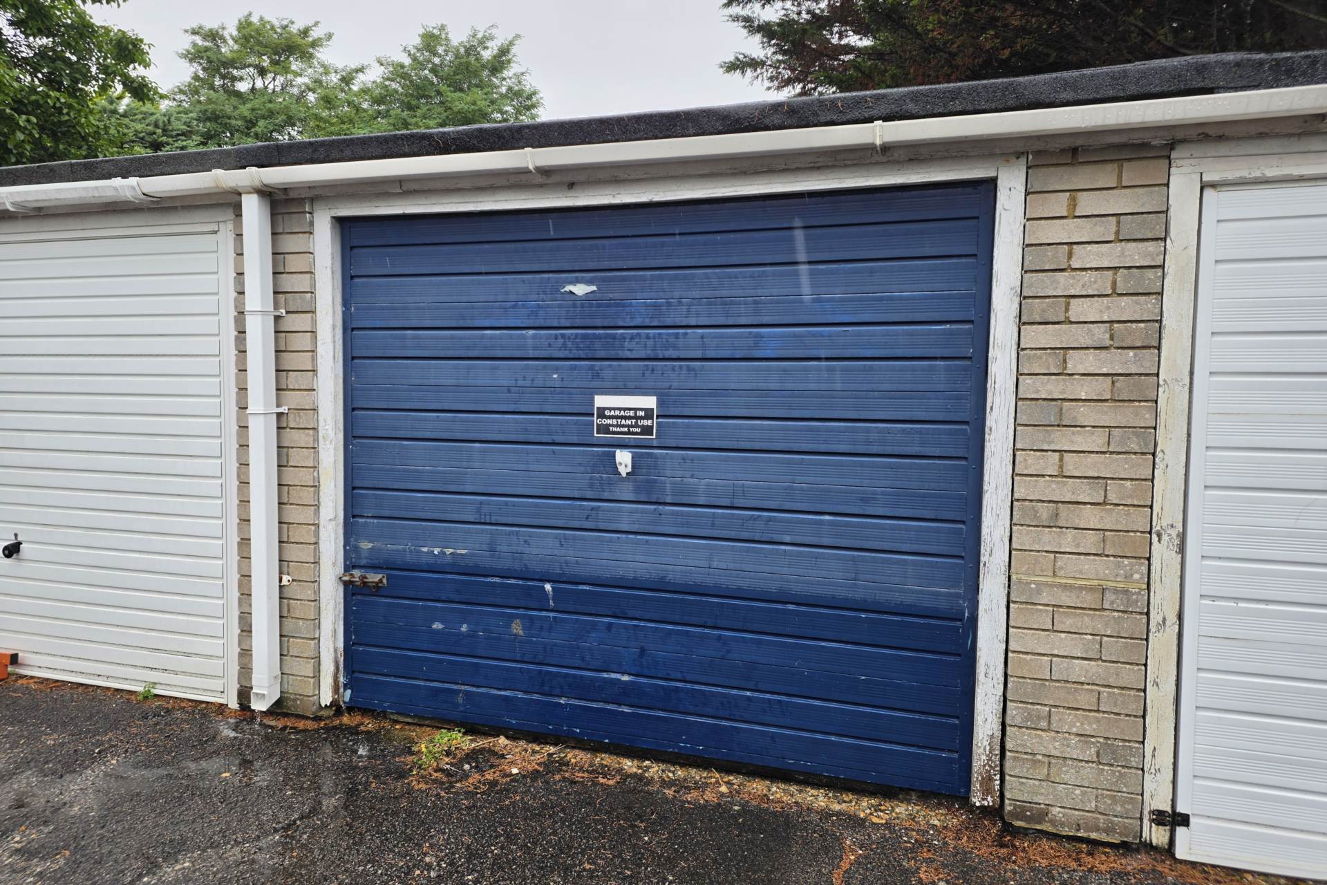 Roborough Close, Eastbourne, BN21 3XS, Image 16