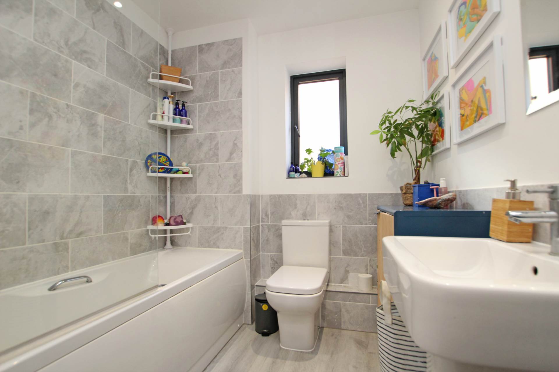 Macauley Drive, Eastbourne, BN23 5BU, Image 5