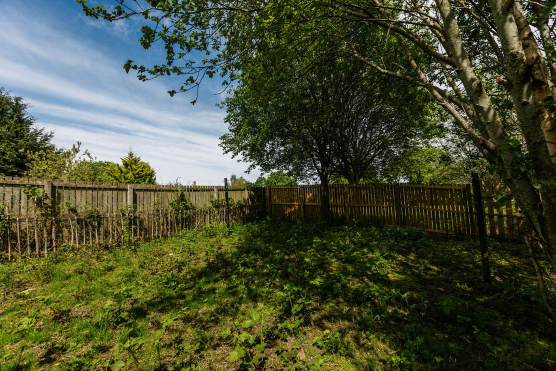Dunlop Street, Paisley, PA3, Image 15
