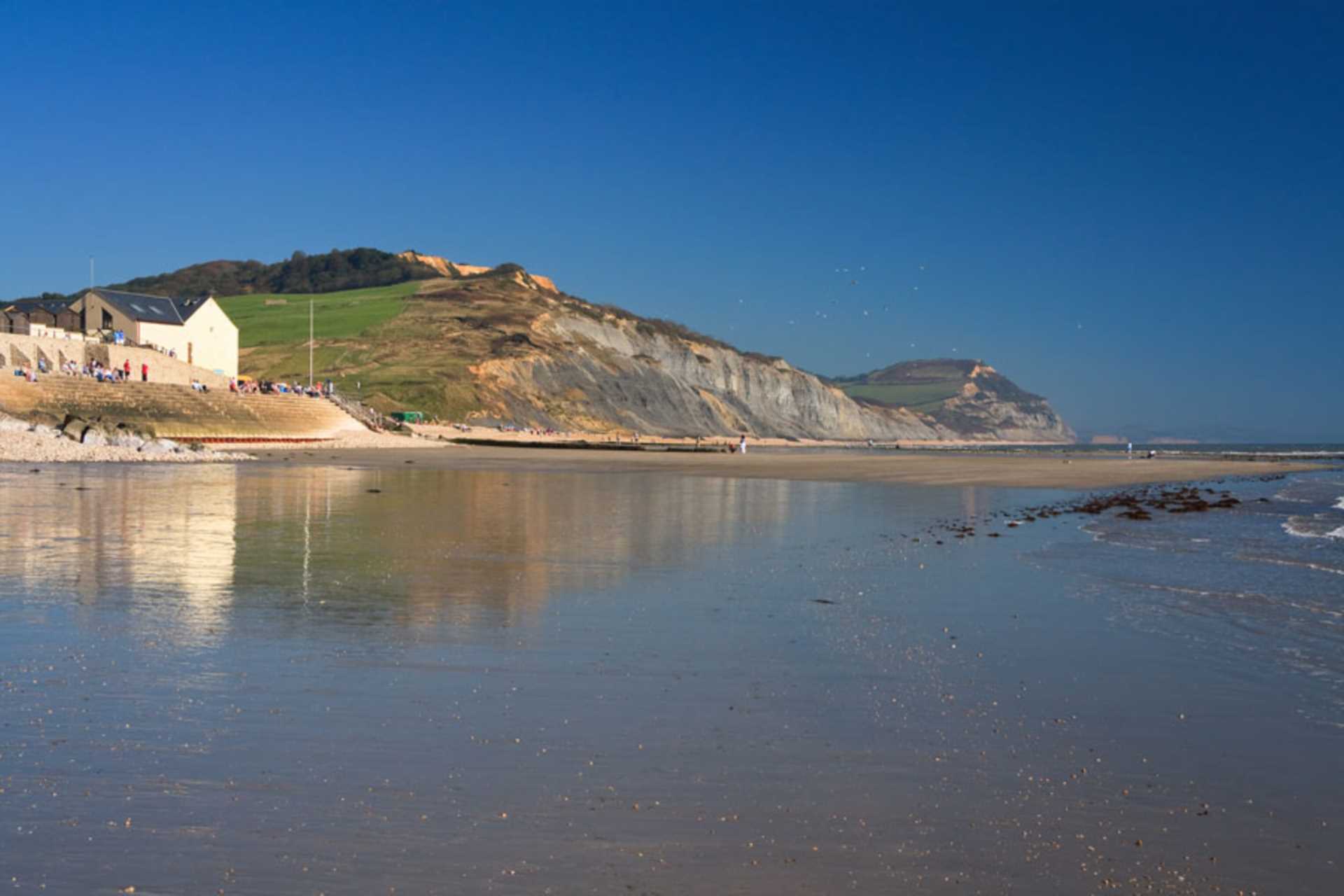 Charmouth, Image 33