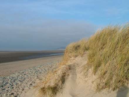 Ynyslas, Borth, Image 27