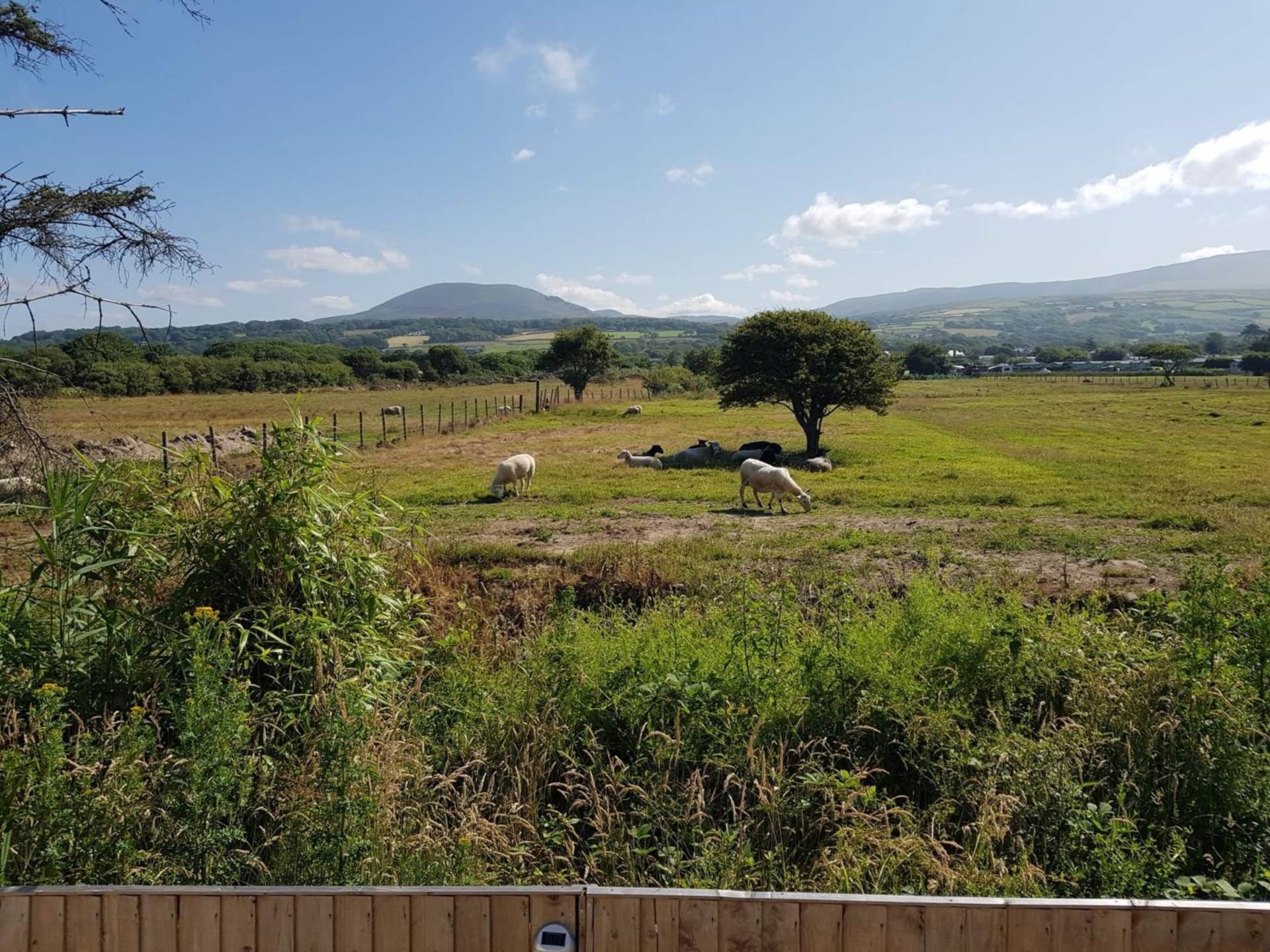 Barmouth Talybont, Image 15