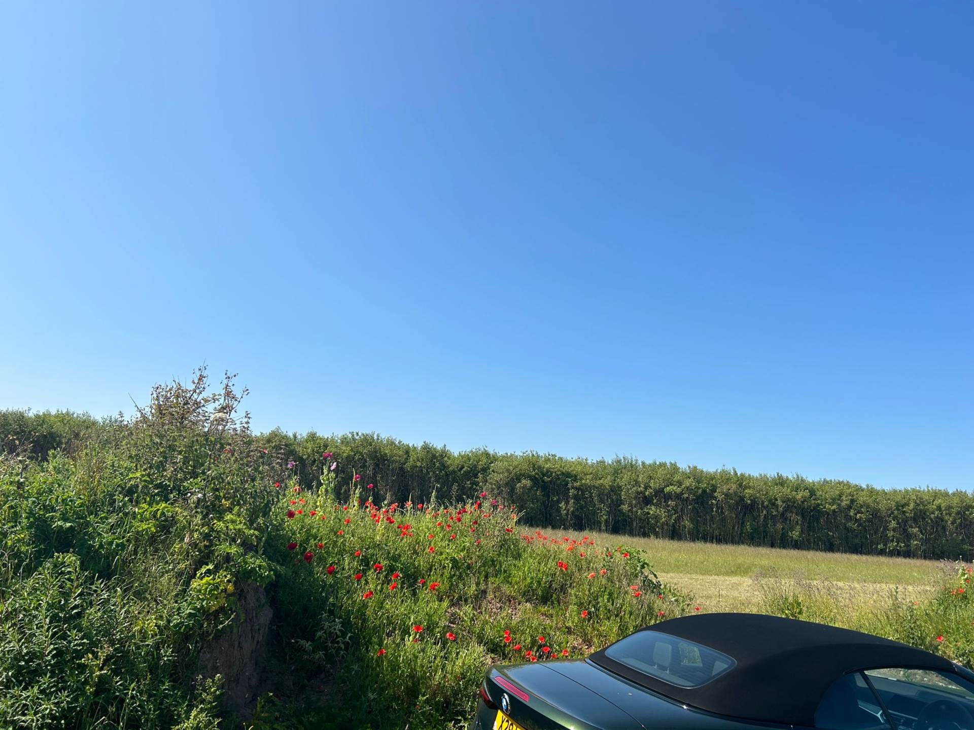 Norwich, Norfolk, Image 16