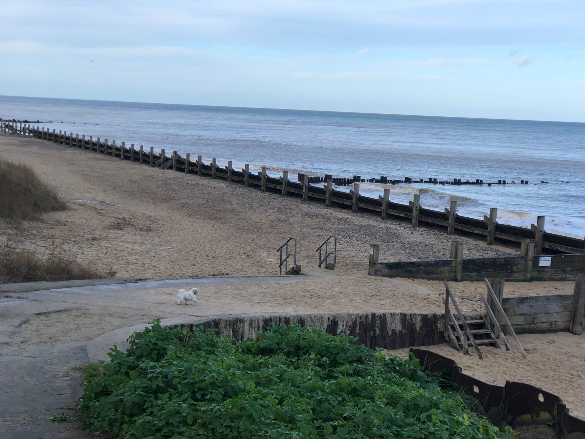 Norwich, Norfolk, Image 18