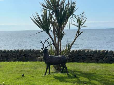 Newton Stewart, Image 26