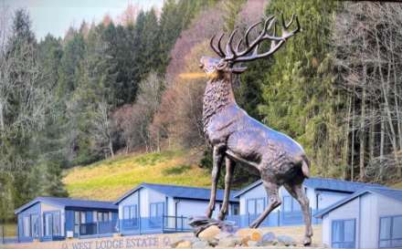Comrie - Fully Residential, Image 17