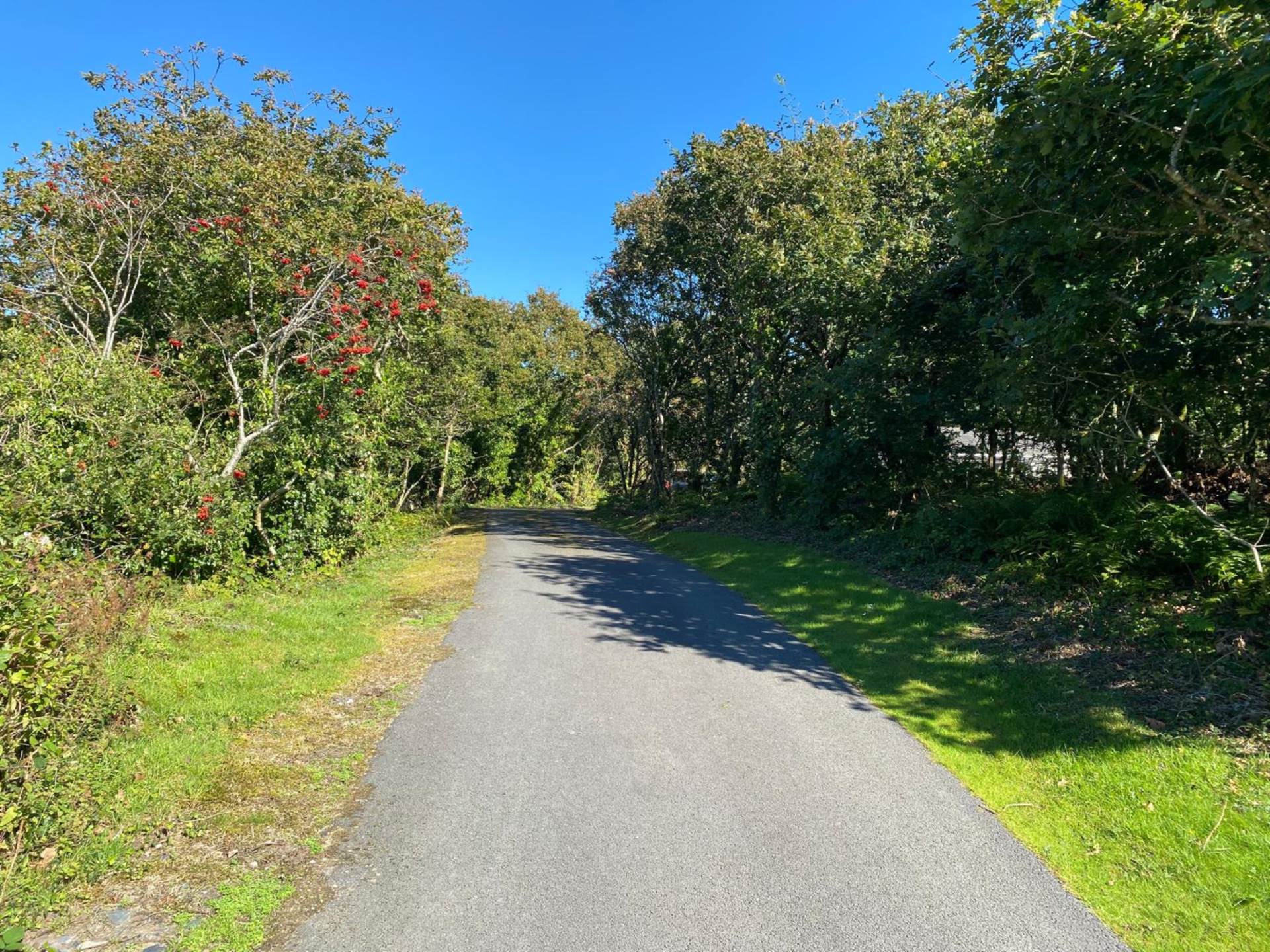 Porthmadog, Image 14