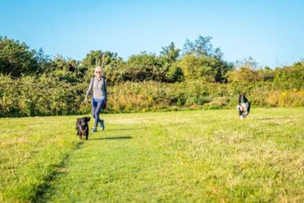 Anglesey, Image 12