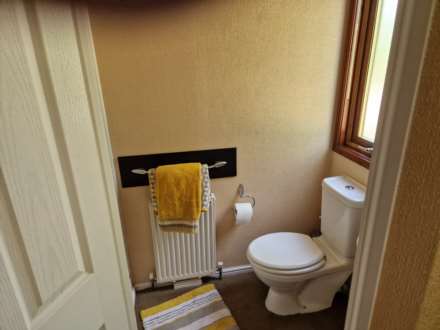 Mold, Image 9