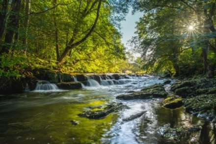 Lowther, Penrith, Image 13
