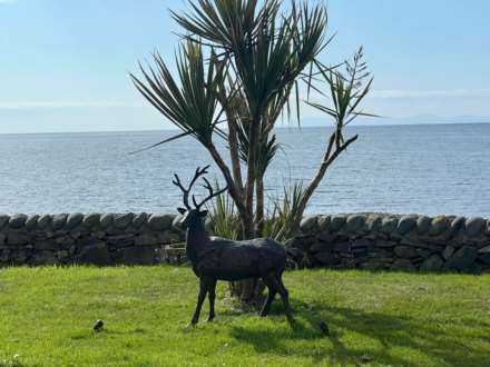 Newton Stewart, Image 12