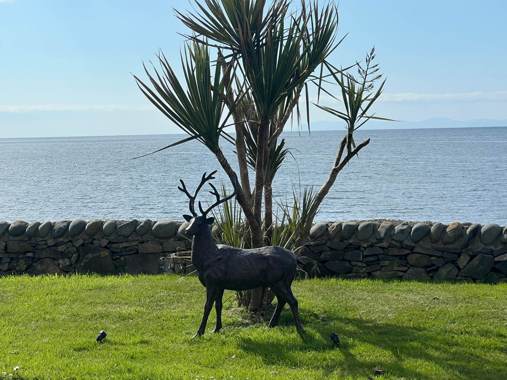Newton Stewart, Image 19