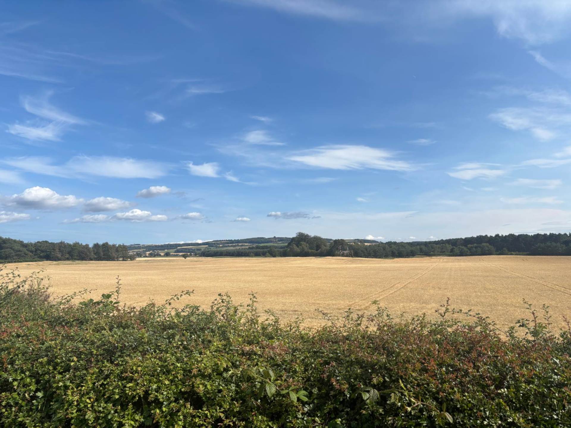 Ladybank, Image 27