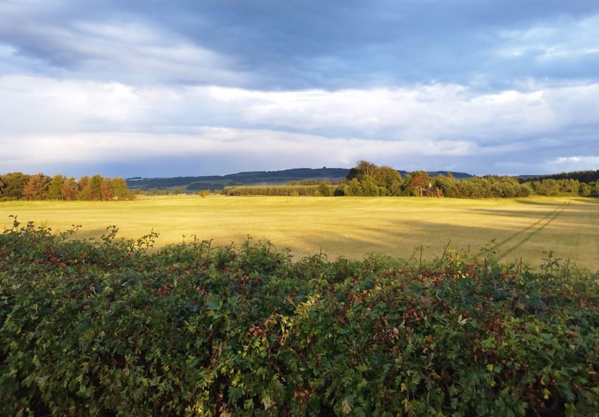 Ladybank, Image 29