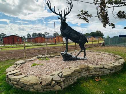 Blairgowrie, Image 26