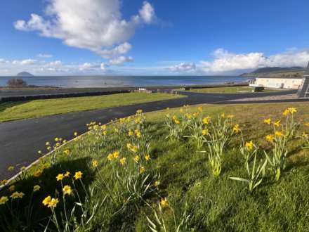 Newton Stewart, Image 20