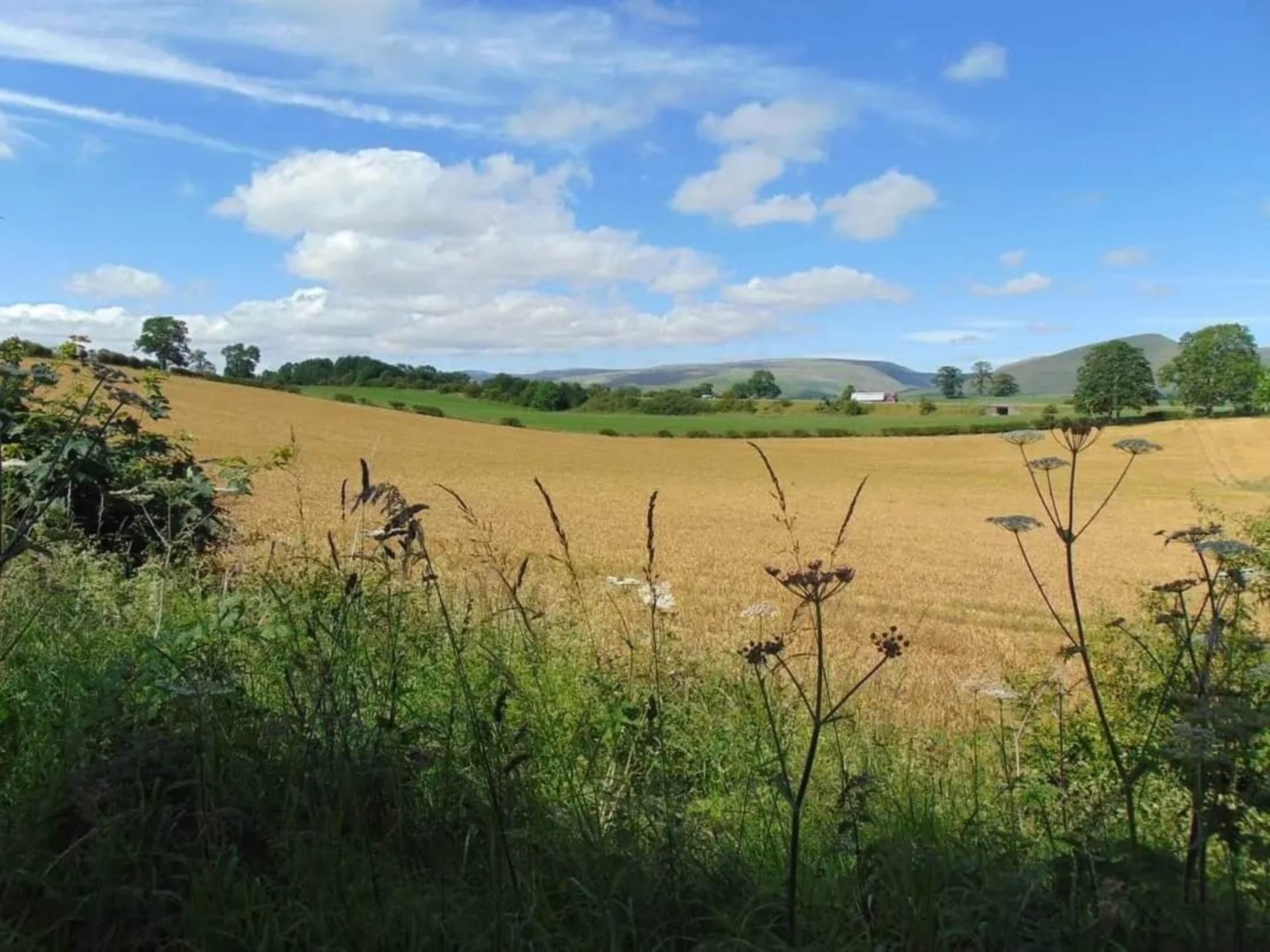 Appleby In Westmorland, Cumbria, Image 14